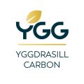 Yggdrasill Carbon.jpg